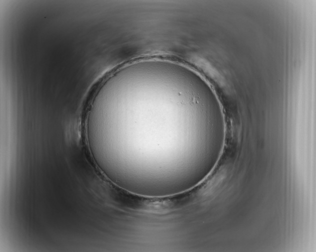 X0000099981165200805301348