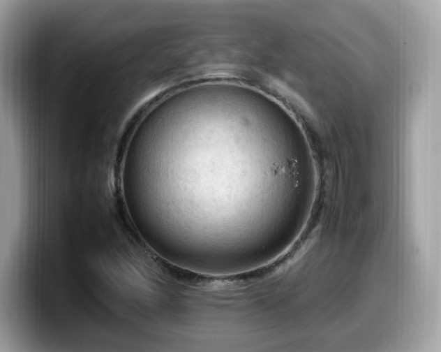 X0000099981166200805301348