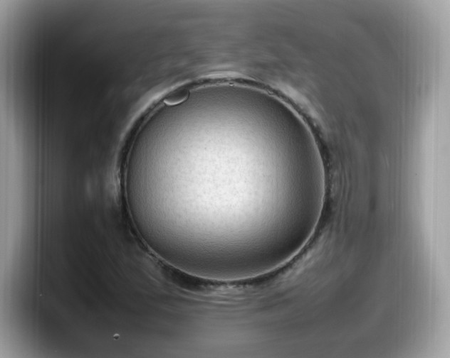 X0000099981167200805301348