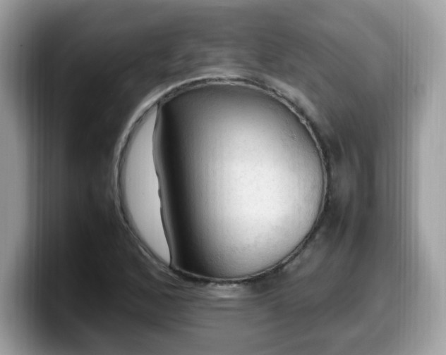 X0000099981168200805301348