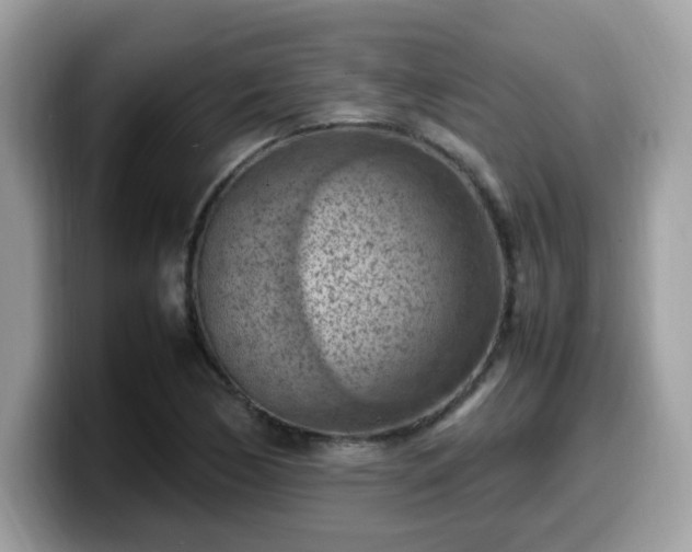 X0000099981170200805301347