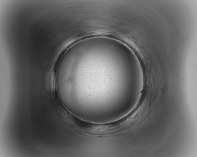 X0000099981171200805301347