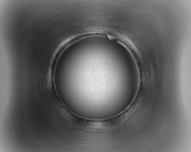 X0000099981172200805301347