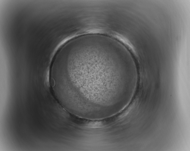 X0000099981174200805301347