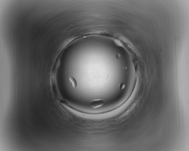 X0000099981177200805301347