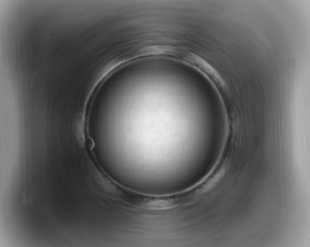 X0000099981178200805301347