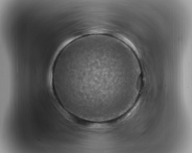 X0000099981179200805301347