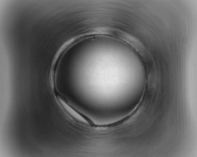 X0000099981180200805301347
