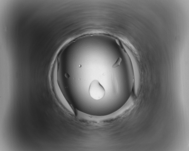 X0000099981181200805301347
