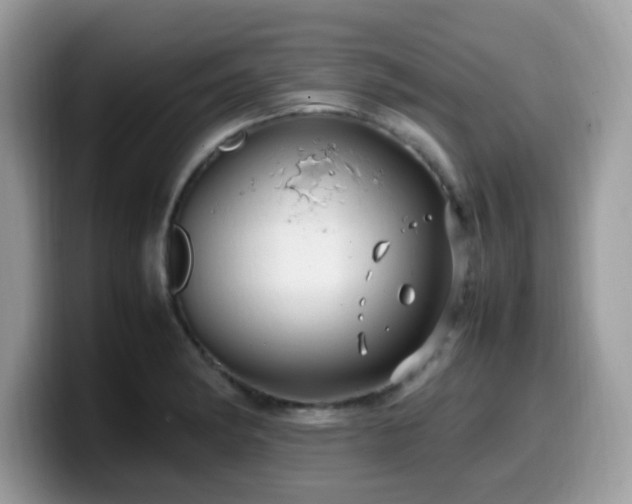 X0000099981182200805301347