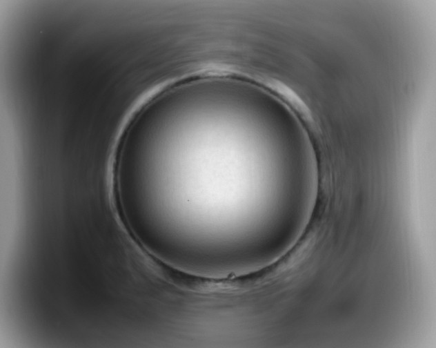 X0000099981183200805301347