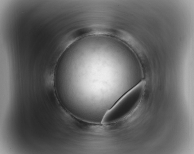 X0000099981185200805301347