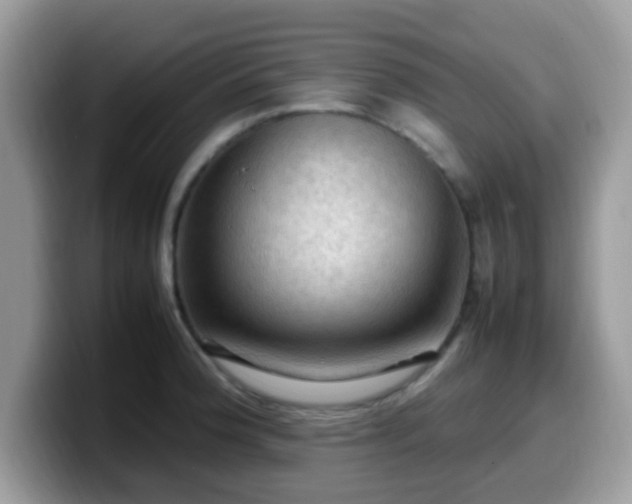 X0000099981188200805301347