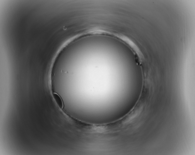 X0000099981191200805301347