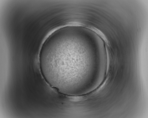 X0000099981192200805301347