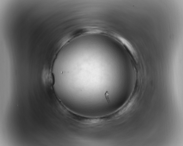 X0000099981193200805301347