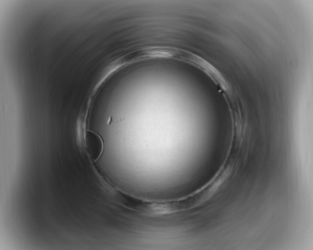 X0000099981194200805301347