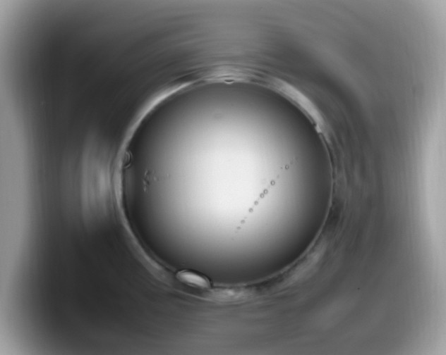 X0000099981195200805301347