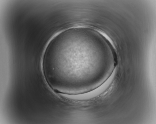 X0000099981197200805301347