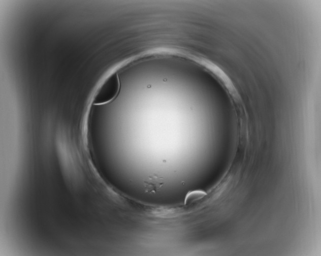 X0000099981199200805301347