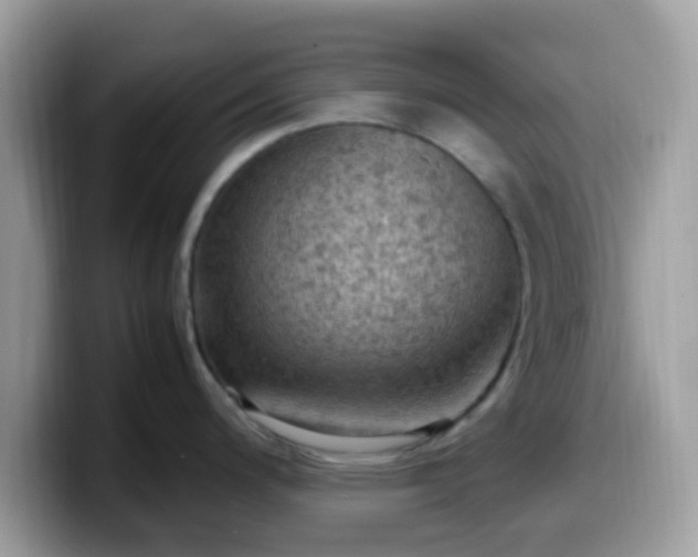 X0000099981200200805301347