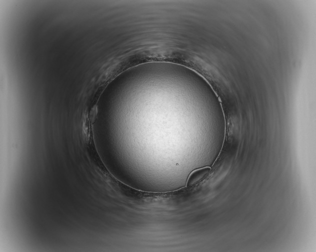 X0000099981202200805301346