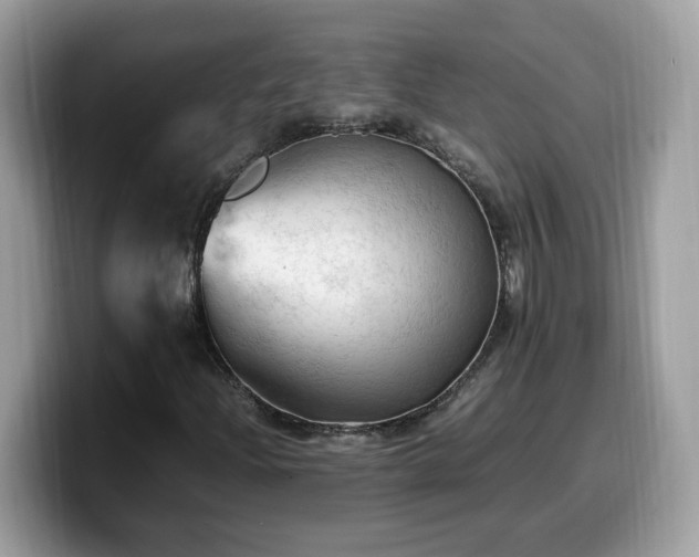 X0000099981204200805301347