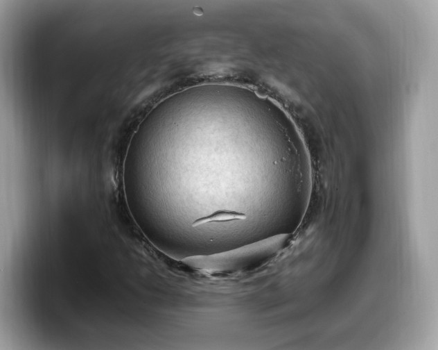 X0000099981206200805301347