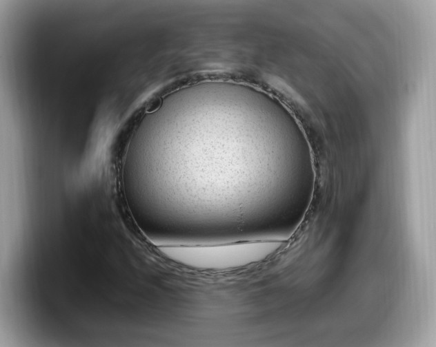 X0000099981208200805301347