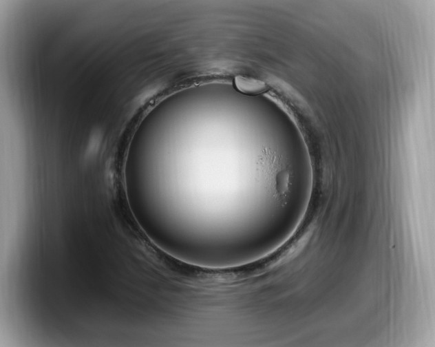 X0000099981210200805301347