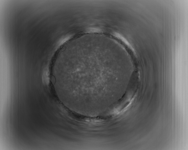 X0000099981213200805301347