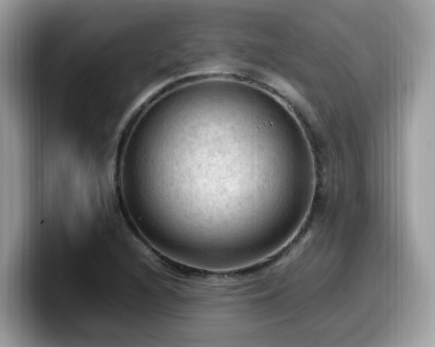 X0000099981216200805301347