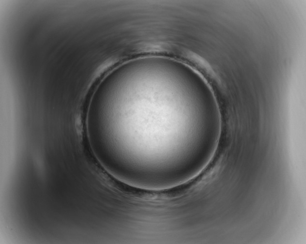 X0000099981218200805301347