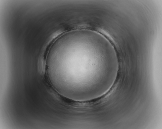 X0000099981219200805301347