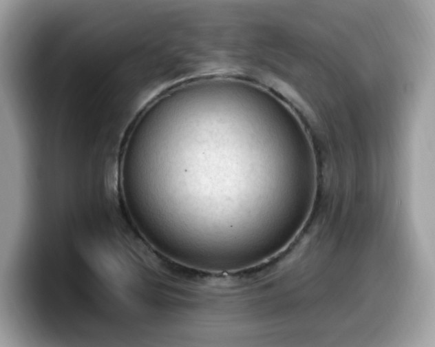 X0000099981220200805301347