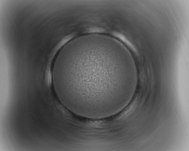 X0000099981221200805301347