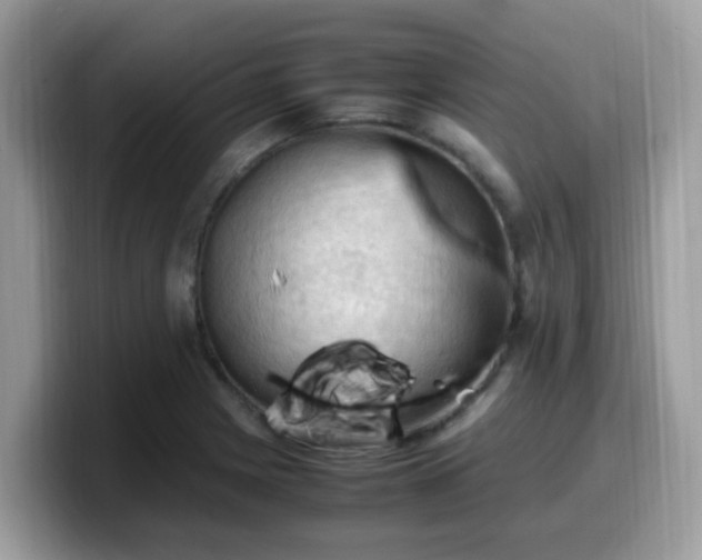 X0000099981225200805301347