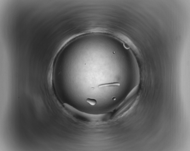 X0000099981228200805301347