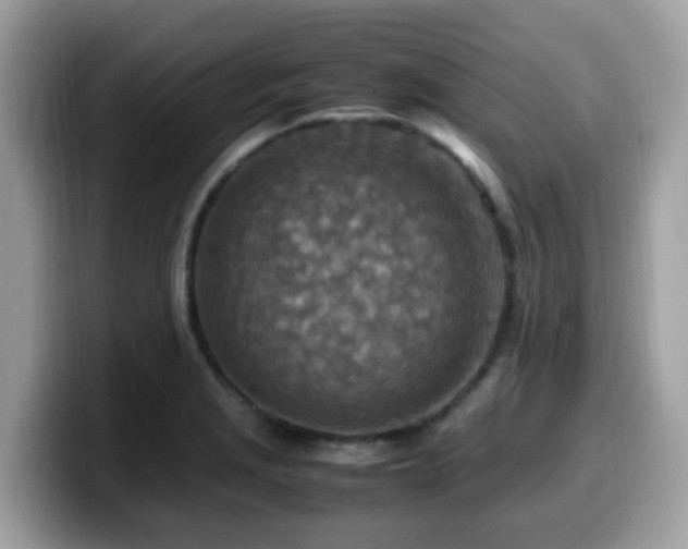 X0000099981229200805301347