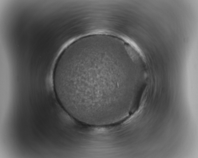 X0000099981230200805301347