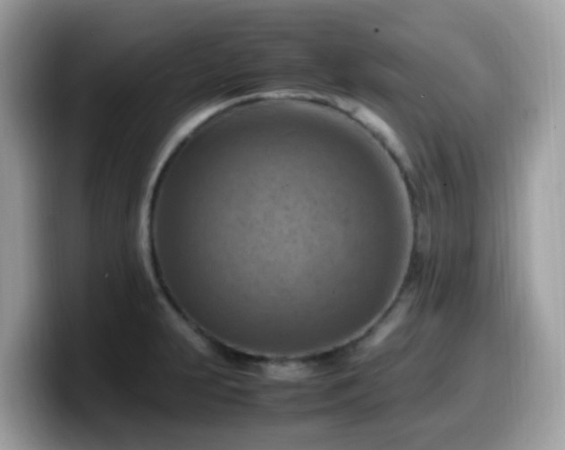 X0000099981231200805301347