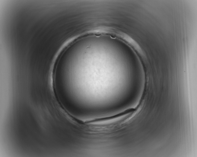 X0000099981232200805301347