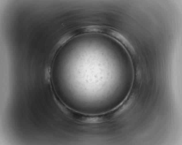 X0000099981233200805301347