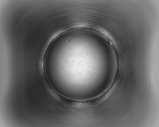 X0000099981234200805301347