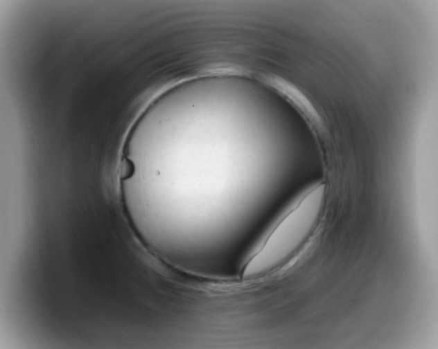 X0000099981236200805301347