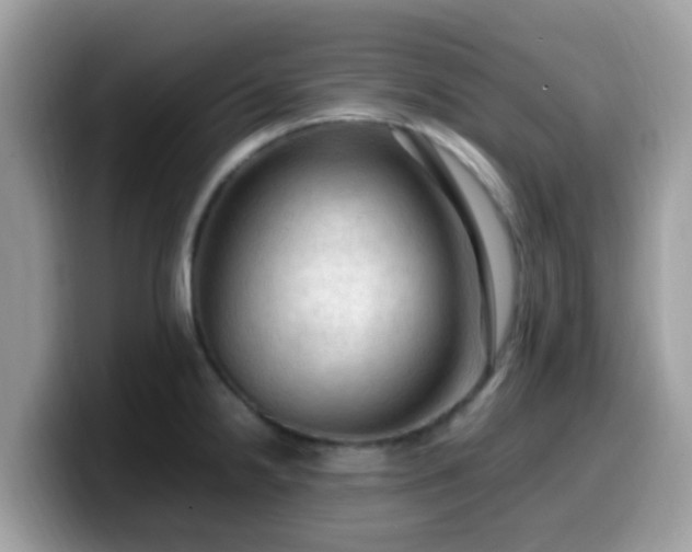 X0000099981238200805301347