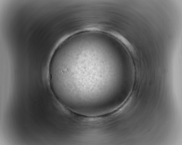 X0000099981240200805301347