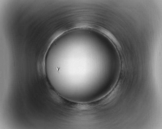 X0000099981242200805301347