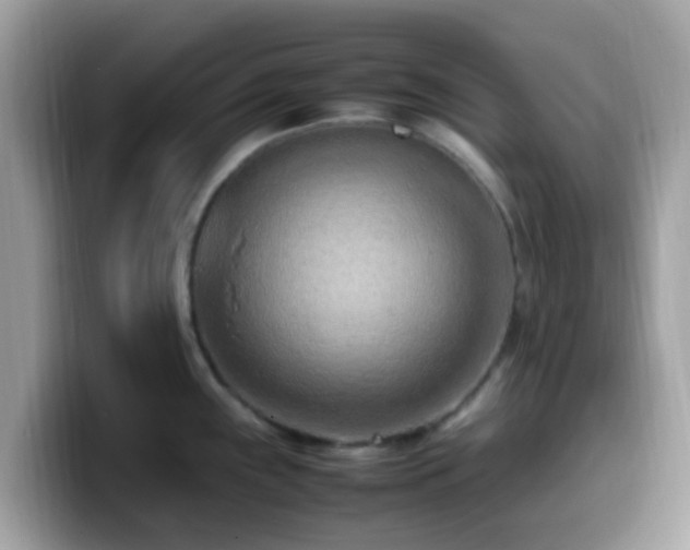 X0000099981243200805301347