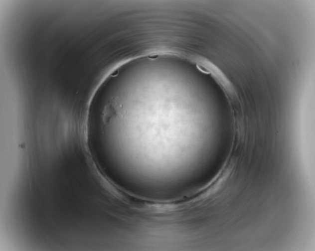 X0000099981244200805301347